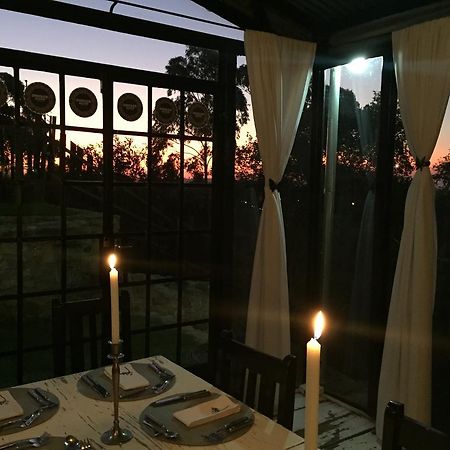 Zietsies Guest House جوهانسبورغ المظهر الخارجي الصورة